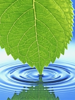 Биопрепарат Bacti Bio 9500